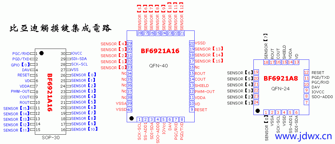 BF6921.gif