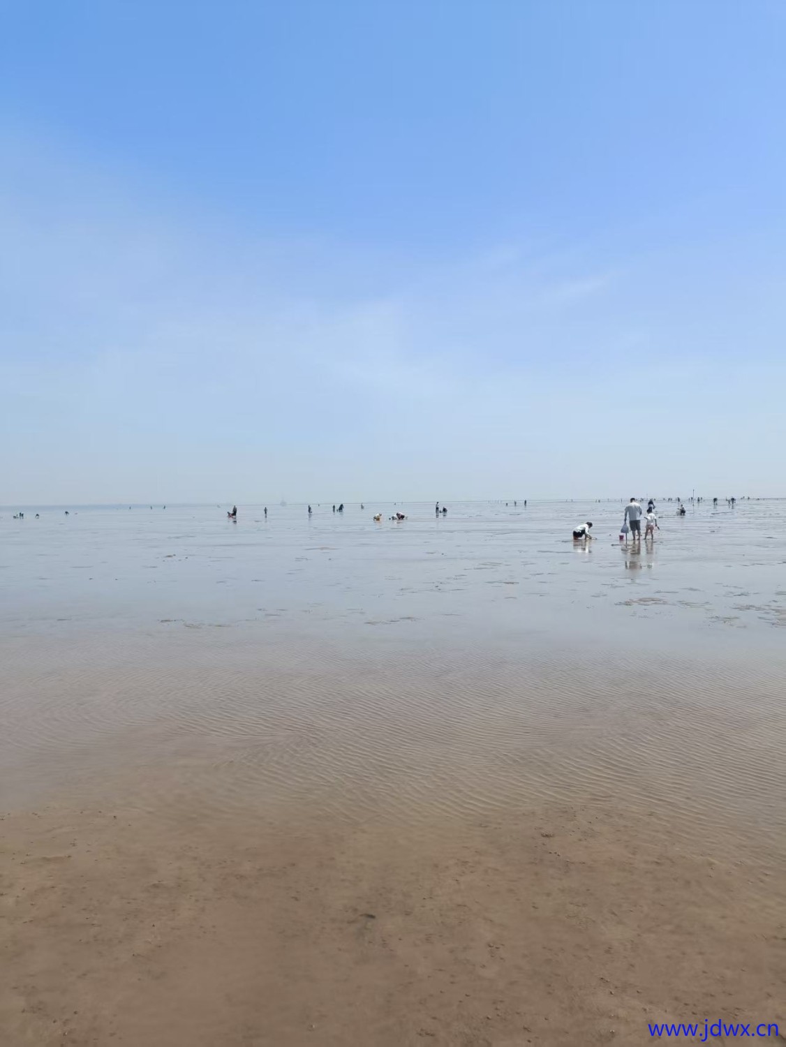 ad08dcc2d9eed4631cd5abf2c16831e.jpg