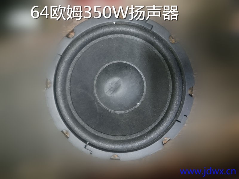 19 狄芬尼提64欧姆350w扬声器IMG_20250717_153337.jpg