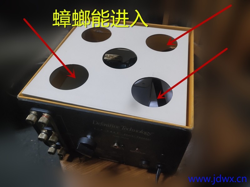 12 IMG_20251206_224531.jpg