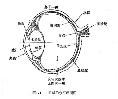知识普及：光和视觉特效（图）