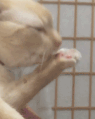 运用命令提示符查看一下系统安装时间谨防被忽悠