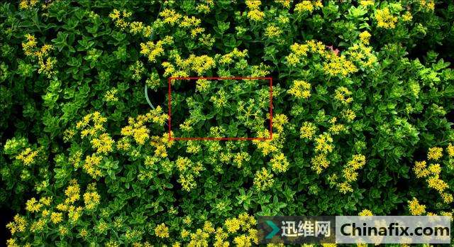 手机拍照好不好，像素是决定原因吗？