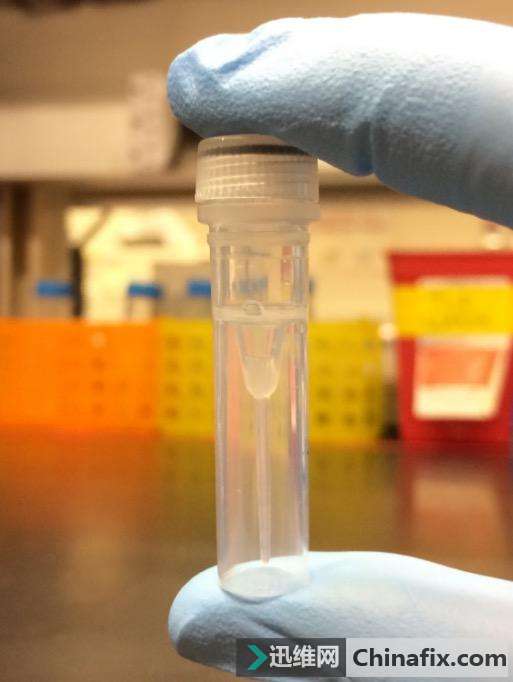 美国科学家首次成功利用DNA侵入计算机程序