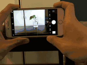 为什么别人都能用手机拍出大片？因为你不知道这些拍摄技巧！