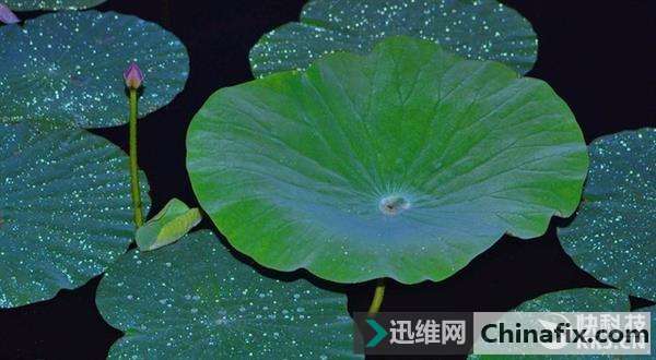 魅蓝E2屏幕有疏油层吗？