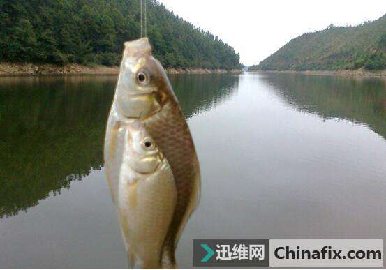 手机安全非常重要，这些安全隐忧你知道吗？