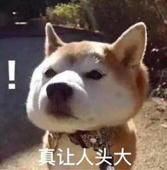 今年到底值不值得换5G手机？纠结用户一定要看看
