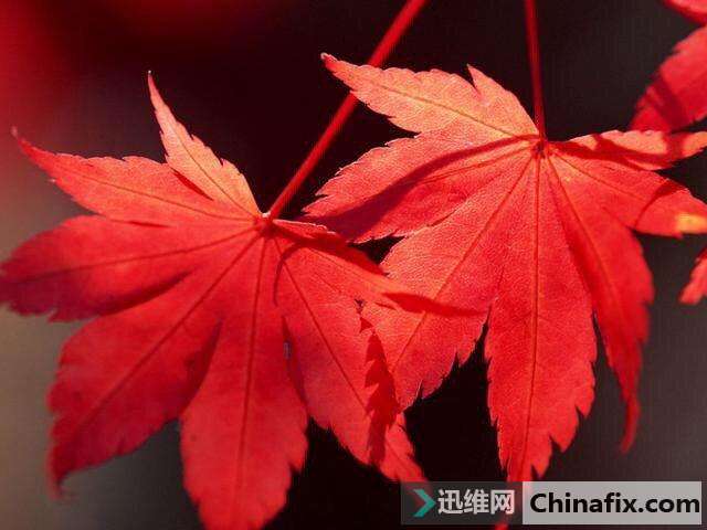 学会这四个拍摄窍门，让iPhone7plus超越单反 成为摄影黑科技！