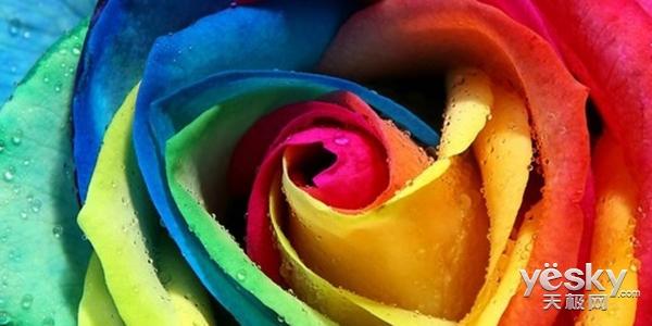 科技以变色为主？今年的手机市场都是色郎