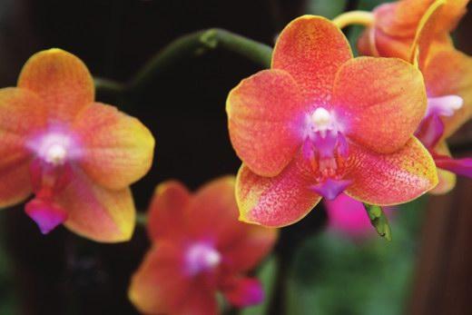 像素与辨别率有什么分别？