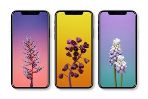 OPPO也要全面屏？骁龙835+6G！