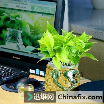 电脑使用注意事项，了解这些告别电脑各种危害