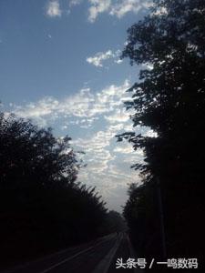 手机存储卡的使用技巧