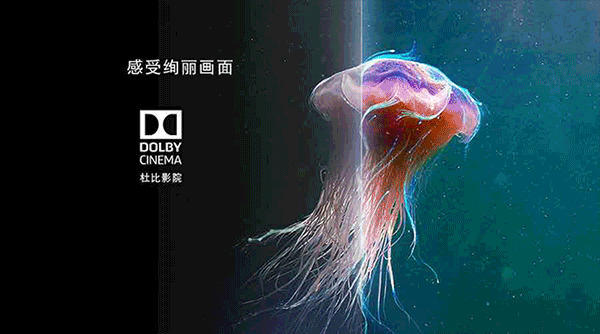 电视电影中常见的杜比Dolby Vision和Dolby Audio究竟是什么？