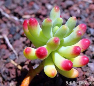 关于几个WIFI传言！谣言止于智者！