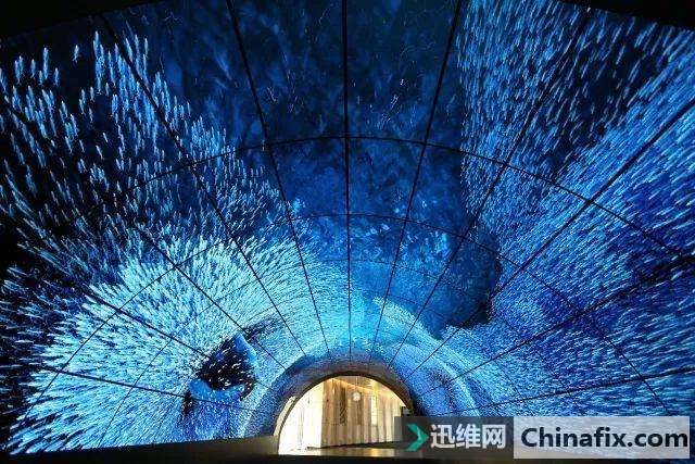 一分钟看懂OLED和LED有什么分别？