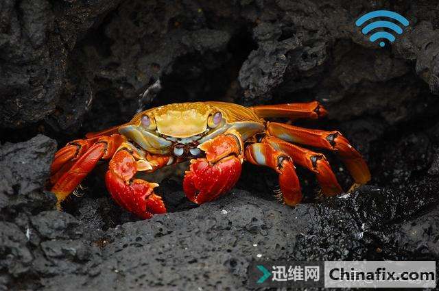 信任互联网：五个正在改变物联网的区块链