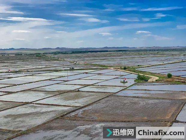 从草原到餐桌：一粒鲜米的新零售之旅