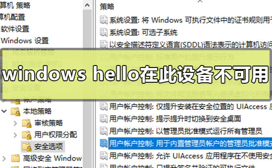 怎么维修windows hello在此设备上不可用