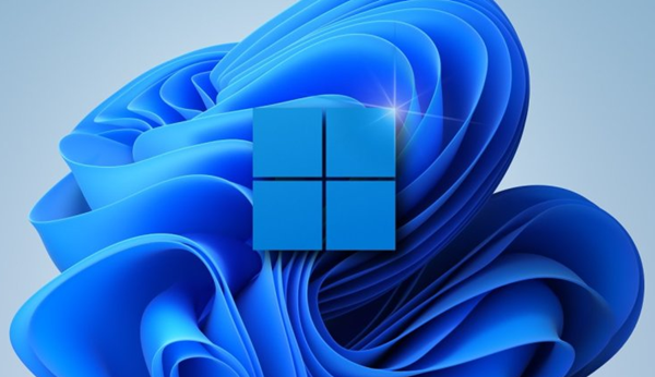 Win11怎么查看隐藏项目？Win11查看隐藏项目操作教程