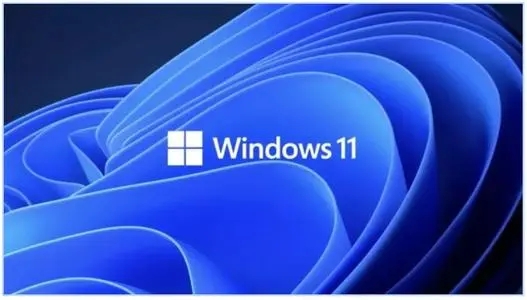 Win11闪屏该如何维修？更新Win11后闪屏的解决教程