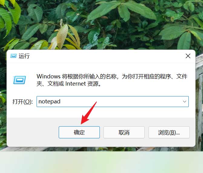Win11记事本字体大小怎么调？Win11调整记事本字体大小的方法