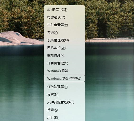 Win11微软应用商店怎么更新？Win11更新微软应用商店的方法