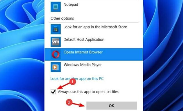 Win11默认打开方式怎么改？Win11更改默认打开方式的方法