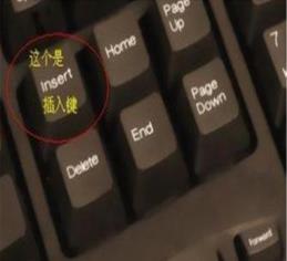 word文档打字时会消掉后面字怎么修理