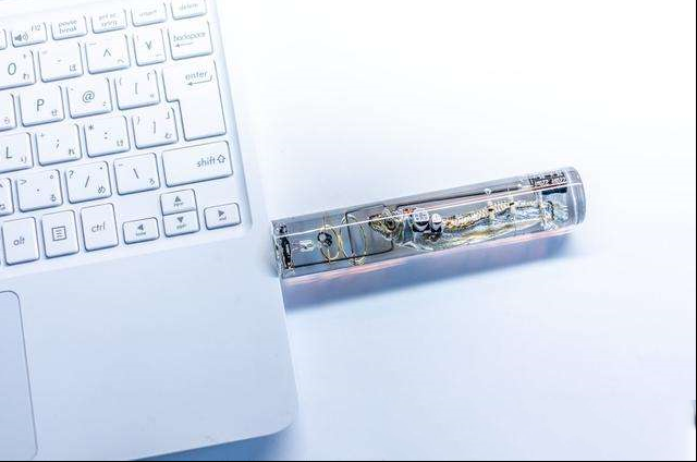 震惊！小鱼的大脑也能变U盘？可以存储32GB的信息量...