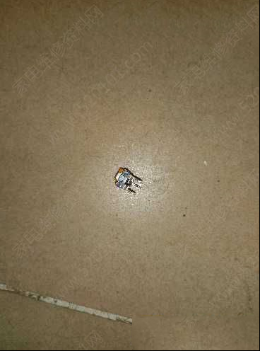 新功K29电茶炉间歇加热的检修思路