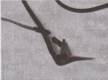 美的MY-YL50P602点高压煲按键无反应不工作的检修思路