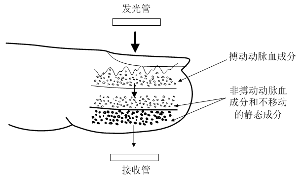 泰矽微发布高性能指夹式血氧仪参考方案