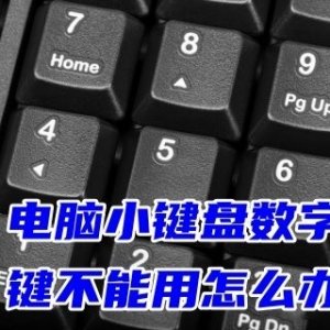 电脑数字键打不出数字怎么版 电脑小键盘数字键不能用的怎么修理