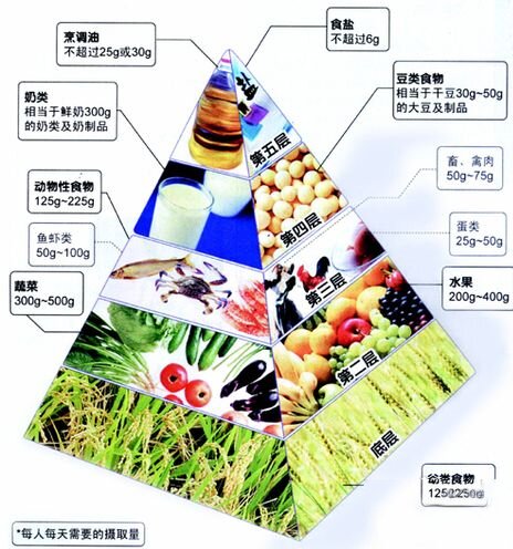 春季快速减肥