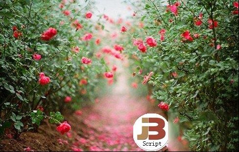 电脑维修爱好者怎样保护眼睛