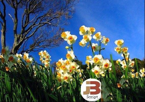 电脑维修爱好者怎样保护眼睛